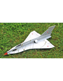 MiG 21I/2 Analog (238)