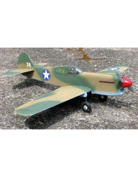 Curtiss P-40E Warhawk (264)